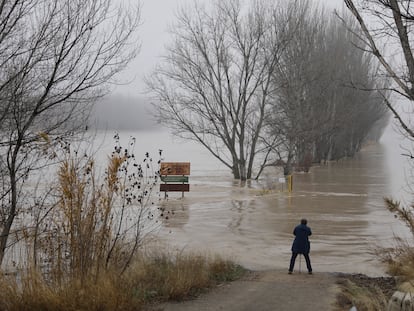 Un hombre, ante la crecida del río Ebro a su paso por la localidad de Alagón (Zaragoza).