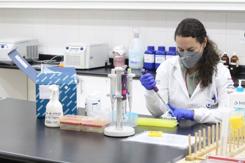 Molecular technology reveals that shark meat is being sold as corvina ...