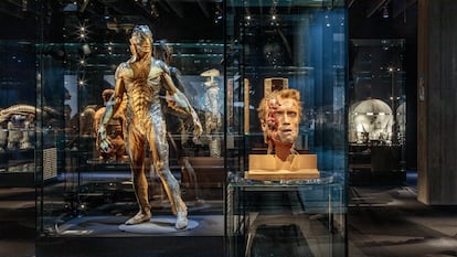 Uma das salas do novo Museu do Cinema, em Los Angeles. Em primeiro plano, a cabeça do personagem de Arnold Schwarzenegger em ‘O exterminador do futuro’, e, à esquerda, a criatura de ‘A forma da água’.
Daniel Gomez (The Academy)