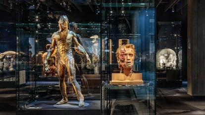 Uma das salas do novo Museu do Cinema, em Los Angeles. Em primeiro plano, a cabeça do personagem de Arnold Schwarzenegger em ‘O exterminador do futuro’, e, à esquerda, a criatura de ‘A forma da água’.
Daniel Gomez (The Academy)