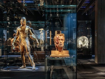 Una de las salas del nuevo Museo del Cine, en Los Ángeles. En primer plano, la cabeza del personaje de Arnold Schwarzenegger en 'Terminator' y a la izquierda, la criatura de 'La forma del agua'.