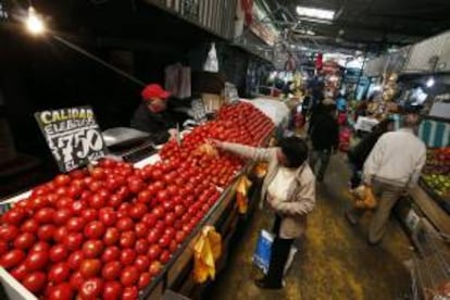 Fotografía fechada el 7 de octubre de 2013 que muestra a una mujer mientras compra tomates en un puesto del mercado de la Vega Central, en Santiago de Chile (Chile).