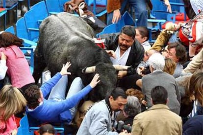 El toro <i>Pajarito</i>, en las gradas de la plaza Monumental de México.