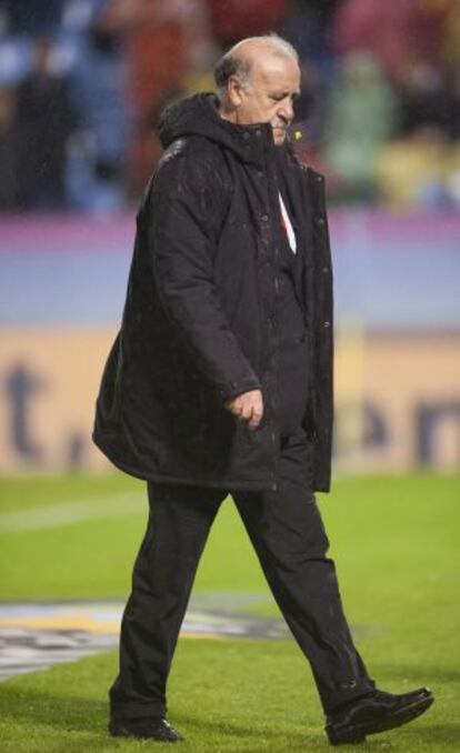 Vicente del Bosque, en el partido contra Alemania.