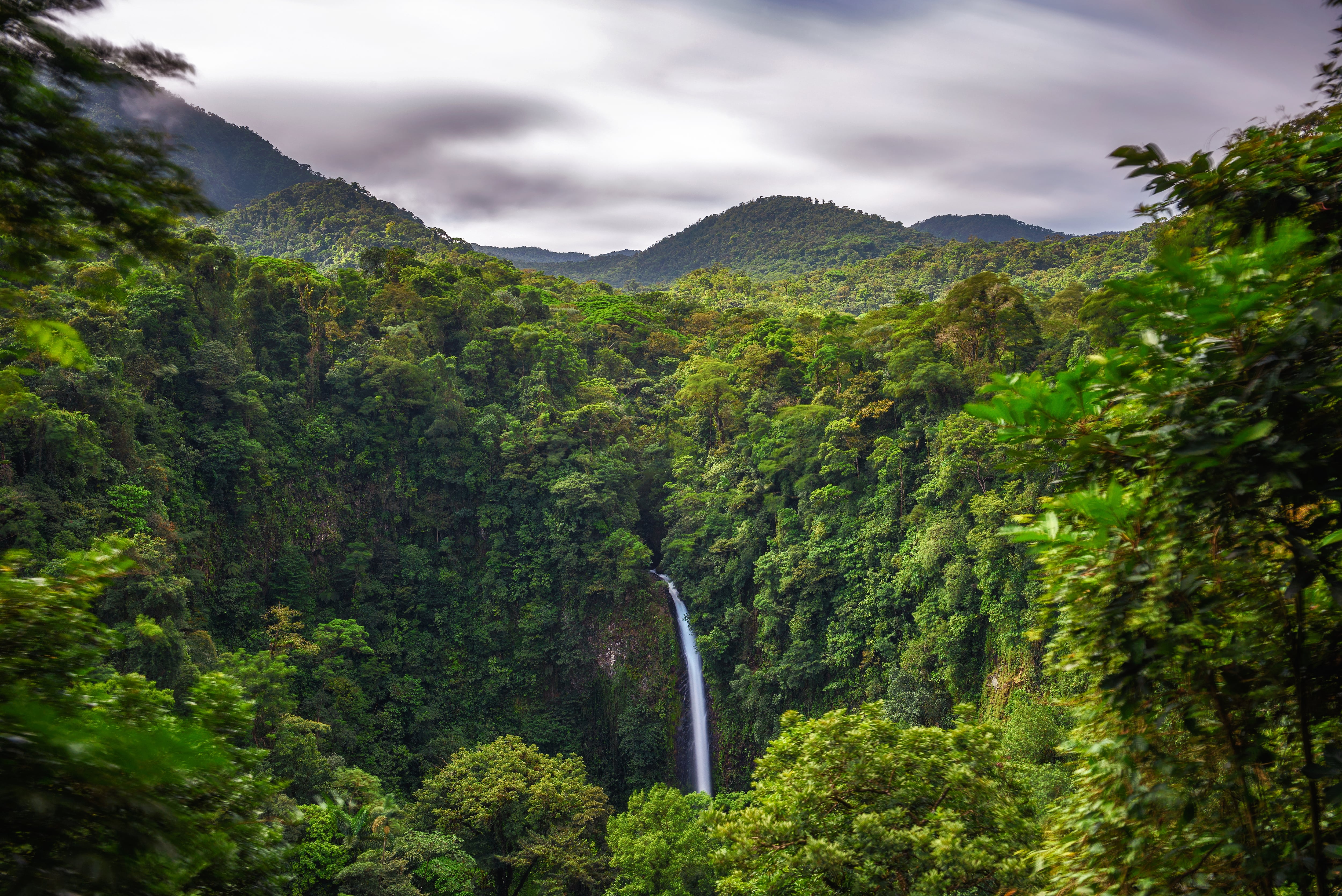 La economía y nuestros bosques pueden crecer al mismo tiempo: el ejemplo de Costa Rica 