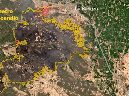 Mapas | El incendio de Zamora y León, uno de los mayores de España