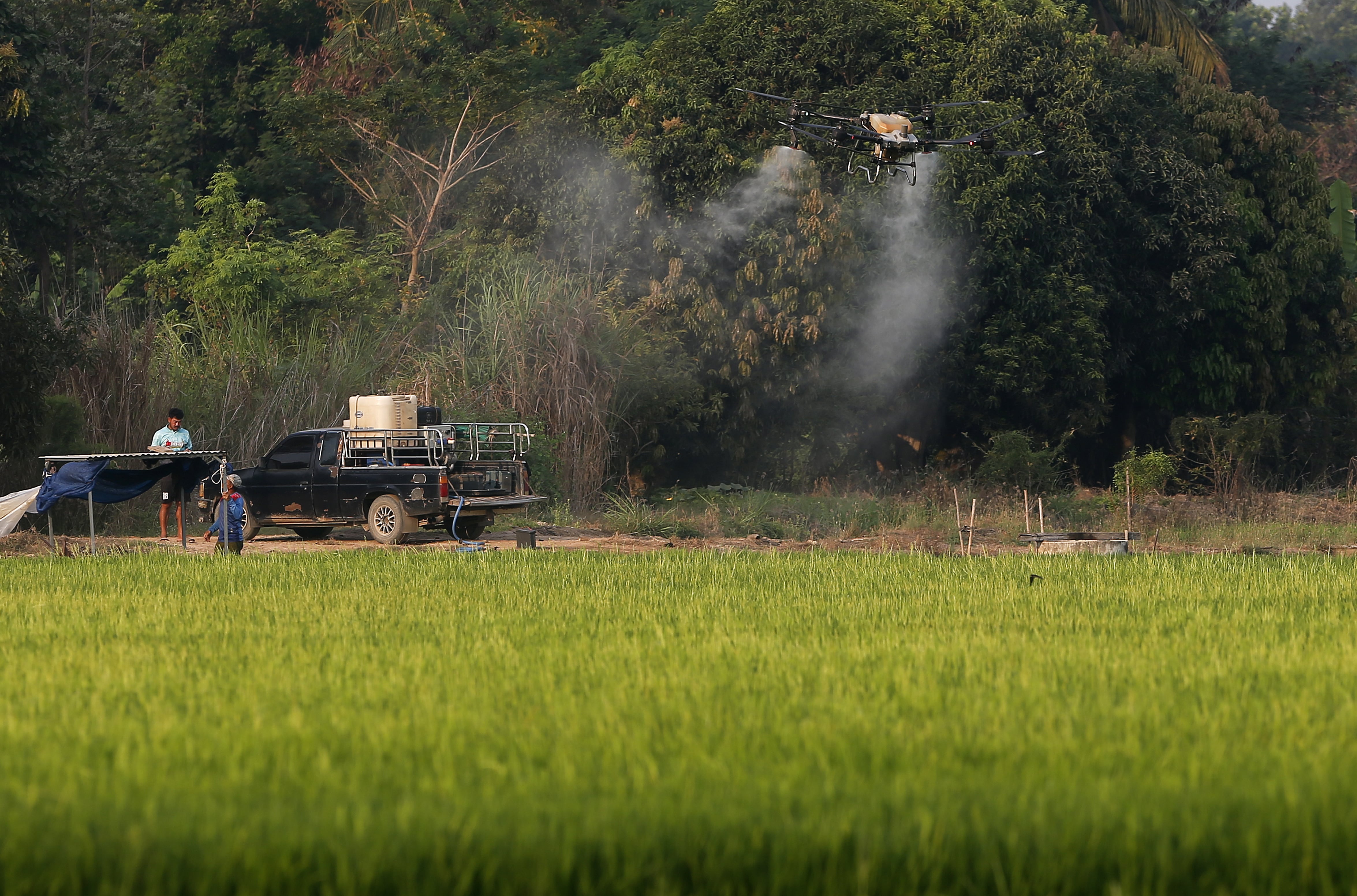 Digitalizzazione del campo da parte delle tecnologie minaccia di allargare il divario con il Sud globale, studio