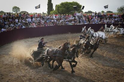 El espect&aacute;culo Emporiae, una de las actividades que ofrece Sant Mart&iacute; d&rsquo;Emp&uacute;ries. 