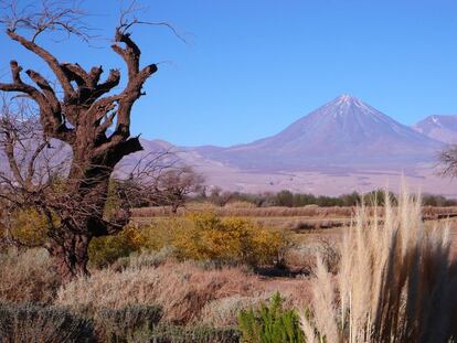Atacama, el desierto más poético