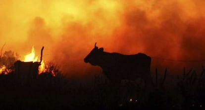 Vista del incendio forestal en la sierra del Arca, en C&aacute;diz.