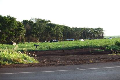 Acampamento da comunidade Apyka’i, formado por barracos de madeira cobertos com lona, visto da estrada em Dourados, Mato Grosso do Sul.