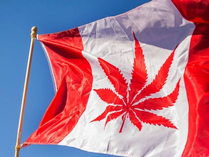 La bandera de Canadá con un logotipo de marihuana en Ottawa.