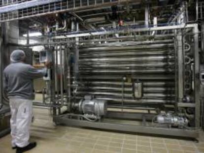 Un operario posa en una instalación de producción lechera. EFE/Archivo
