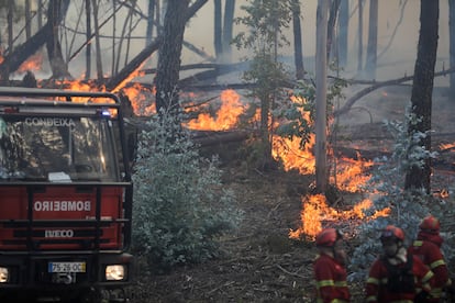 Bomberos trabajan en las labores de extinción en Cruzinha, Alvaiazere (centro de Portugal), el domingo 10 de julio. El incendio forestal comenzó el pasado 7 de julio.  