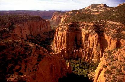 El presidente de Estados Unidos, Donald Trump, firmó este lunes en Utah la mayor reducción de terrenos federales en la historia del país. Trump anunció que el 85% del Monumento Nacional Bears Ears y la mitad de Grand Staircase-Escalante dejarían de ser propiedad federal. En la imagen, Comb Wash corta de norte a sur a través de Cedar Mesa en el Monumento Nacional de Bears Ears en Utah.