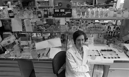 Margarita Salas (Asturias, 1938), la científica más destacada de España, ha fallecido este jueves a los 80 años. En la imagen, Salas fotografiada en su laboratorio, el 24 de junio de 1998.