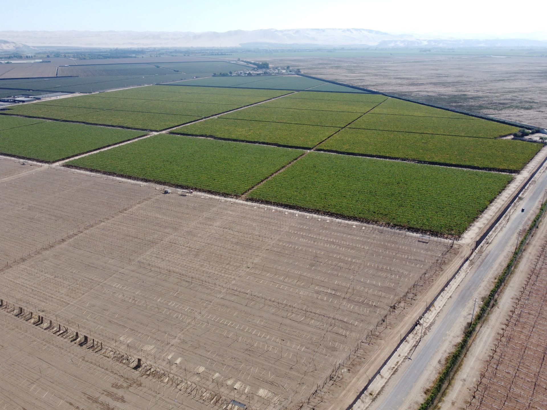 El trasvase alimenta el río Ica y sistemas de riego.