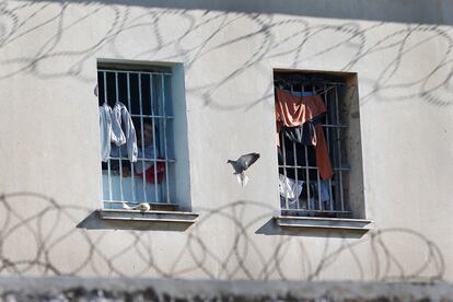 Un preso de la cárcel de Korydallos, observa el vuelo de una paloma que se acerca a su ventana, cerca de Atenas (Grecia).