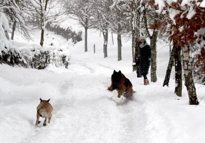 Fuerte nevada en la localidad vizcaína de Urkiola.