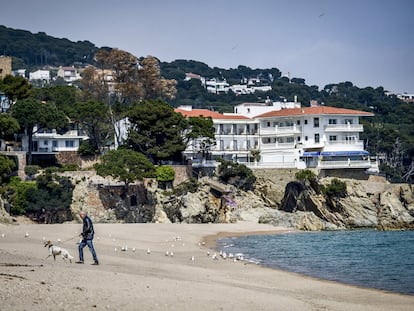 Un vecino pasea a su perro entre las gaviotas que ahora ocupan la playa Grande de la localidad de Aro (Girona), en la Costa Brava.