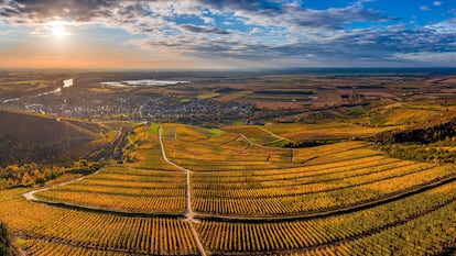 Panorámica aérea de viñedos en la región vinícola de Tokaj (Hungría).