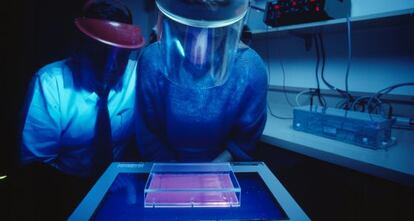Investigadores de EE UU especializados en c&aacute;ncer utilizan una luz ultravioleta para estudiar el ADN. 