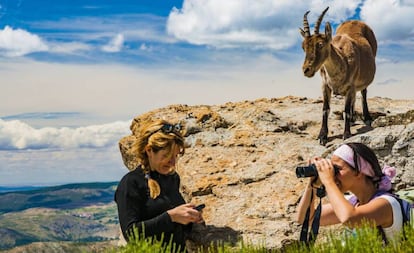 Two hikers with a goat in the Sierra de Gredos mountains in Avila province.