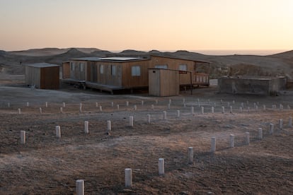 SOLO USAR PARA EL TEMA:
Un laboratorio natural en medio del desértico Perú para proteger a los animales de El Niño y la gripe aviar