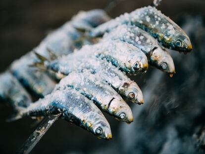 Espetos - skewer with sardines fish in fire. Spanish cuisine.