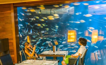 Restaurante Submarino del Oceanogràfic de Valencia.