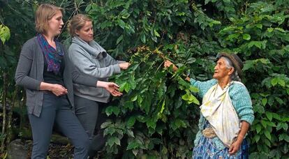 Una experta en café acompaña a Seidler (con coleta) a visitar la plantación de Alexandra (a la derecha) en Coraico.