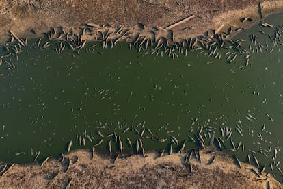 Crisis climática Brasil