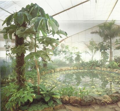 El Jardín Americano fue creado para exhibir la colección de plantas exóticas donadas por los países participantes.