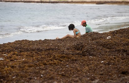 El sargazo invade diversas playas de las costas de República Dominicana.