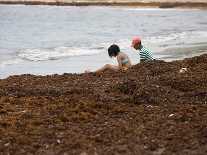 El sargazo invade diversas playas de las costas de República Dominicana.