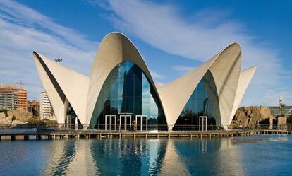 El Oceanografic en la Ciudad de las Artes y las Ciencias en Valencia.