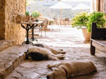 Comedor en la terraza del hotel Torre del Visco, en la provincia de Teruel.