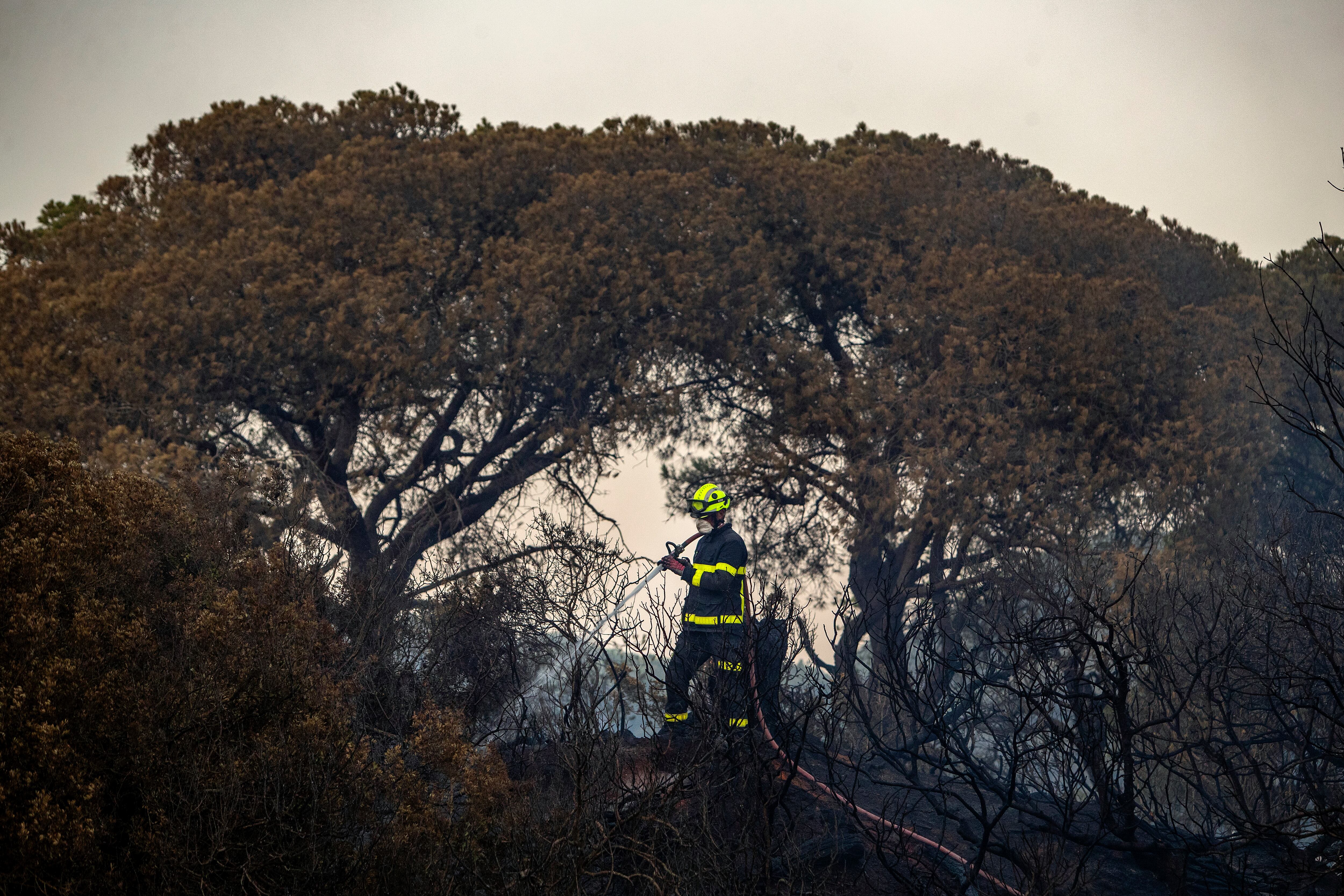 Un bombero trabaja en apagar las llamas en el incendio de Puerto Real, este pasado domingo. 
