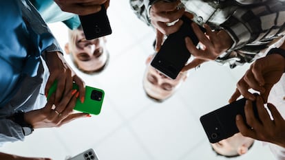 Algoritmos y misoginia: así acceden los adolescentes latinoamericanos
