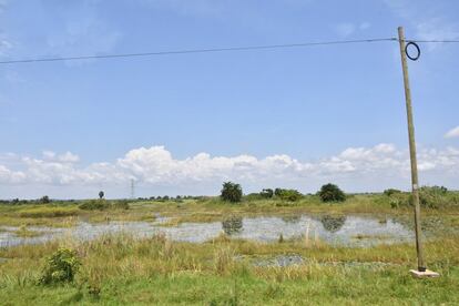 Un campo no irrigado que depende exclusivamente del agua de la lluvia. 
