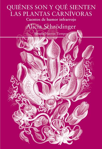 Portada de la novela de Alicia Schrödinger.