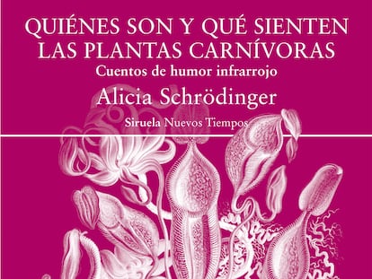 Portada de la novela de Alicia Schrödinger.