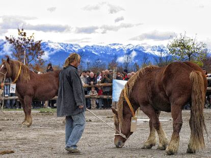 El caballo pirenaico catalán