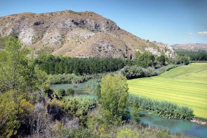 La Junta de los Ríos, donde se unen el Mundo y el Segura, cerca de Hellín (Albacete).