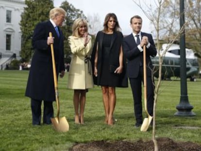 El roble que simboliza la larga alianza entre Francia y EE UU ha desaparecido de los jardines de la Casa Blanca. El embajador galo ha tenido que aclarar el motivo
