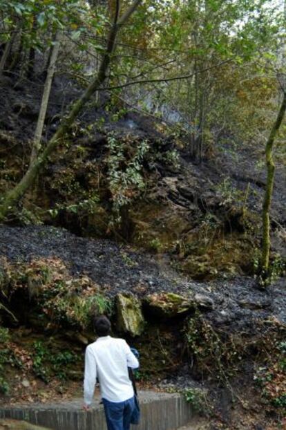 Zona dañada por el fuego en As Fragas do Eume, el pasado abril.