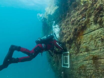 Un arqueólogo toma muestras del pecio del 'Erebus' uno de los dos barcos de la expedición de Franklin hallados en el norte de Canadá.