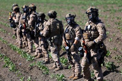 Agentes federales resguardan la carretera que conduce a una granja en Laguna Road, donde se realizaron las redadas en California.