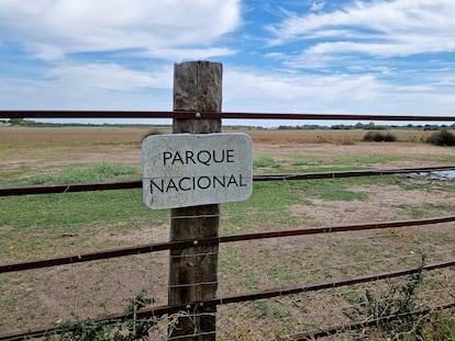 Vista del Parque Nacional de Doñana desde la localidad de Almonte (Huelva).