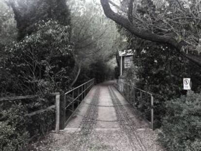 'Senderisme artístic a Collserola' instal·lació d'Emili Codina Català.